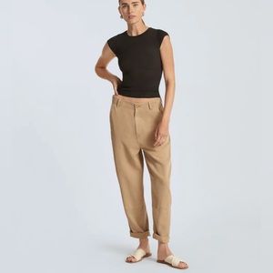 Everlane Tencel Relaxed Chino
